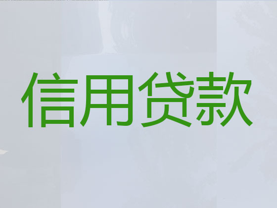 芜湖贷款公司-信用贷款
